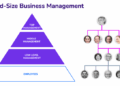 Mid-size Company Management and Structure | Medium-Sized Business ...