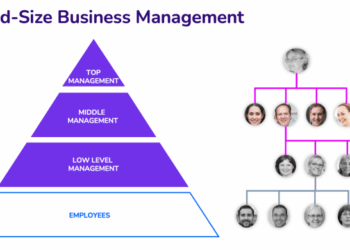 Mid-size Company Management and Structure | Medium-Sized Business ...