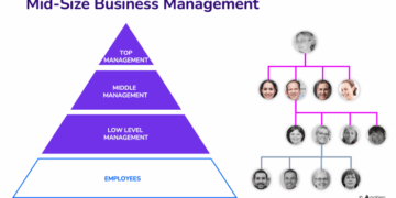 Mid-size Company Management and Structure | Medium-Sized Business ...