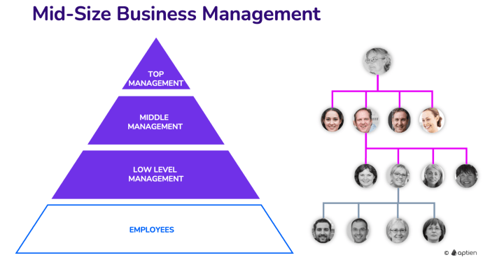 Mid-size Company Management and Structure | Medium-Sized Business ...